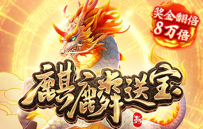 杨红公式论坛